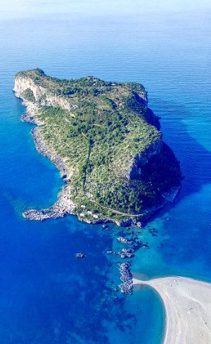 Isola Dino